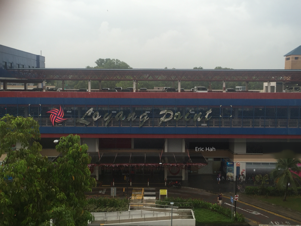 Blk 256 Pasir Ris Street 21 (Pasir Ris), HDB 4 Rooms #110349032